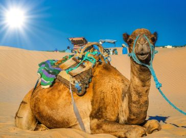 Нова година 2026 в Тунис, със самолет от София - 6 нощувки